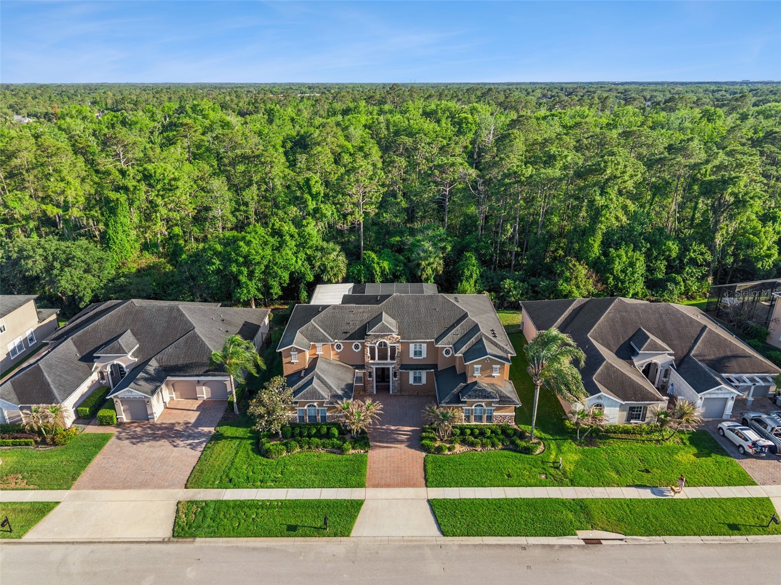 3197 Heirloom Rose Place Oviedo FL 32766 O6405761 image79