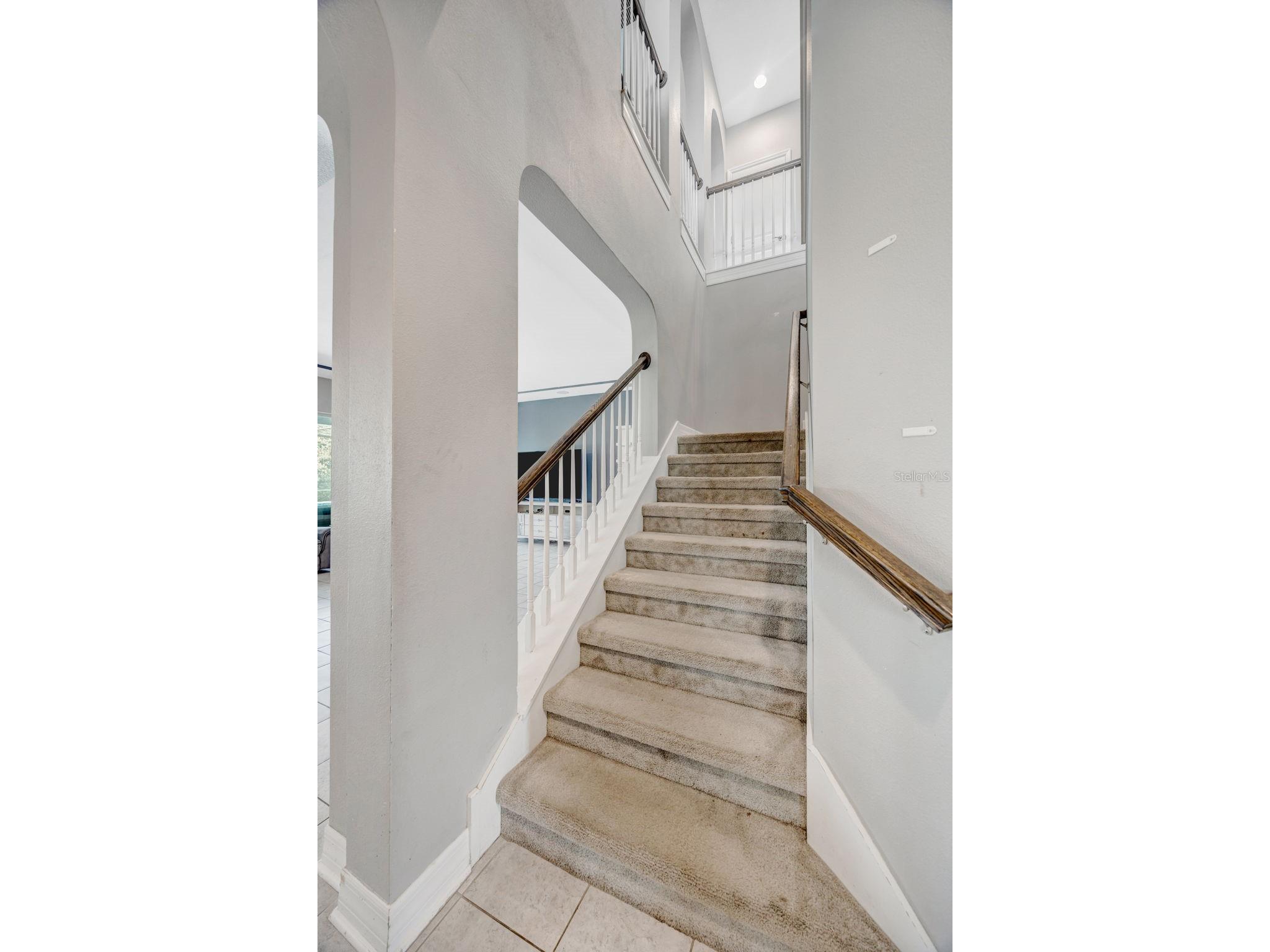 31973 Mardelle Place Wesley Chapel FL 33543 TB8514052 image37