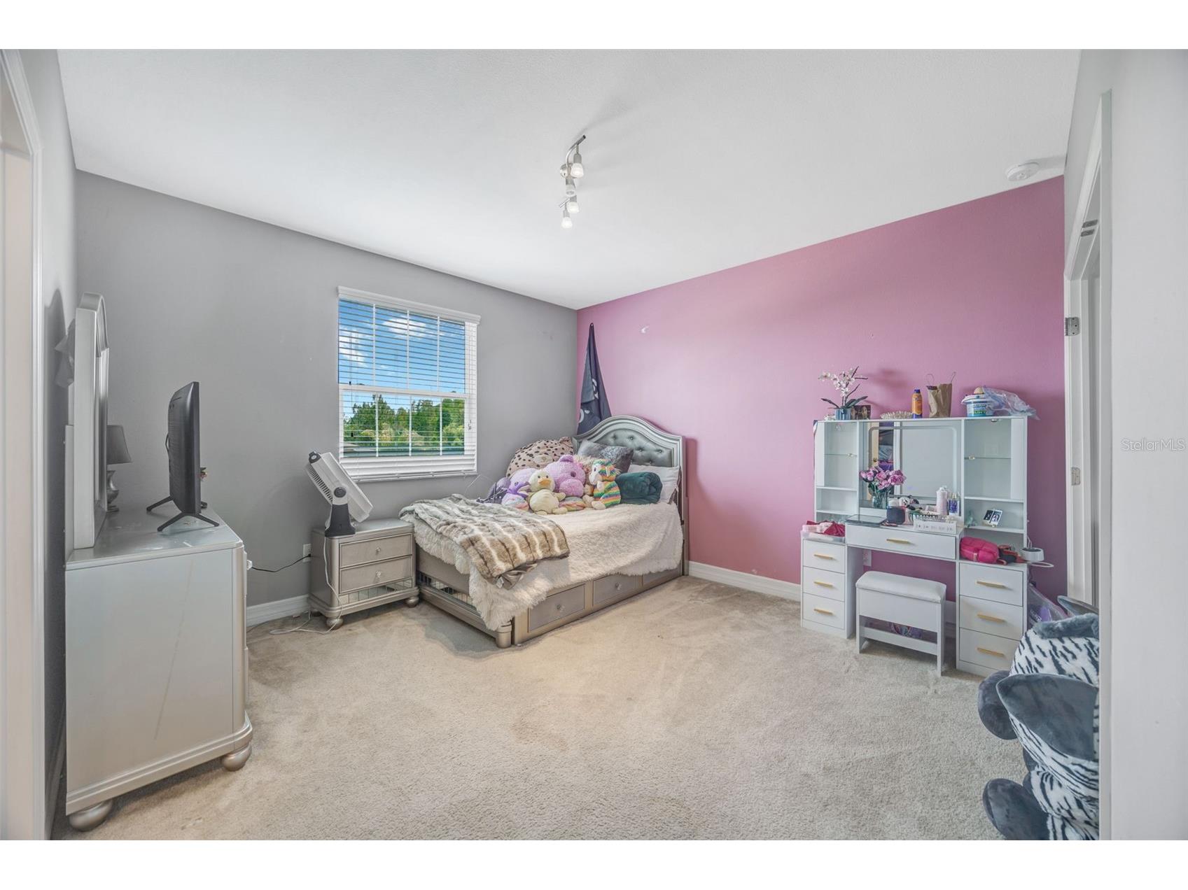 31973 Mardelle Place Wesley Chapel FL 33543 TB8514052 image42