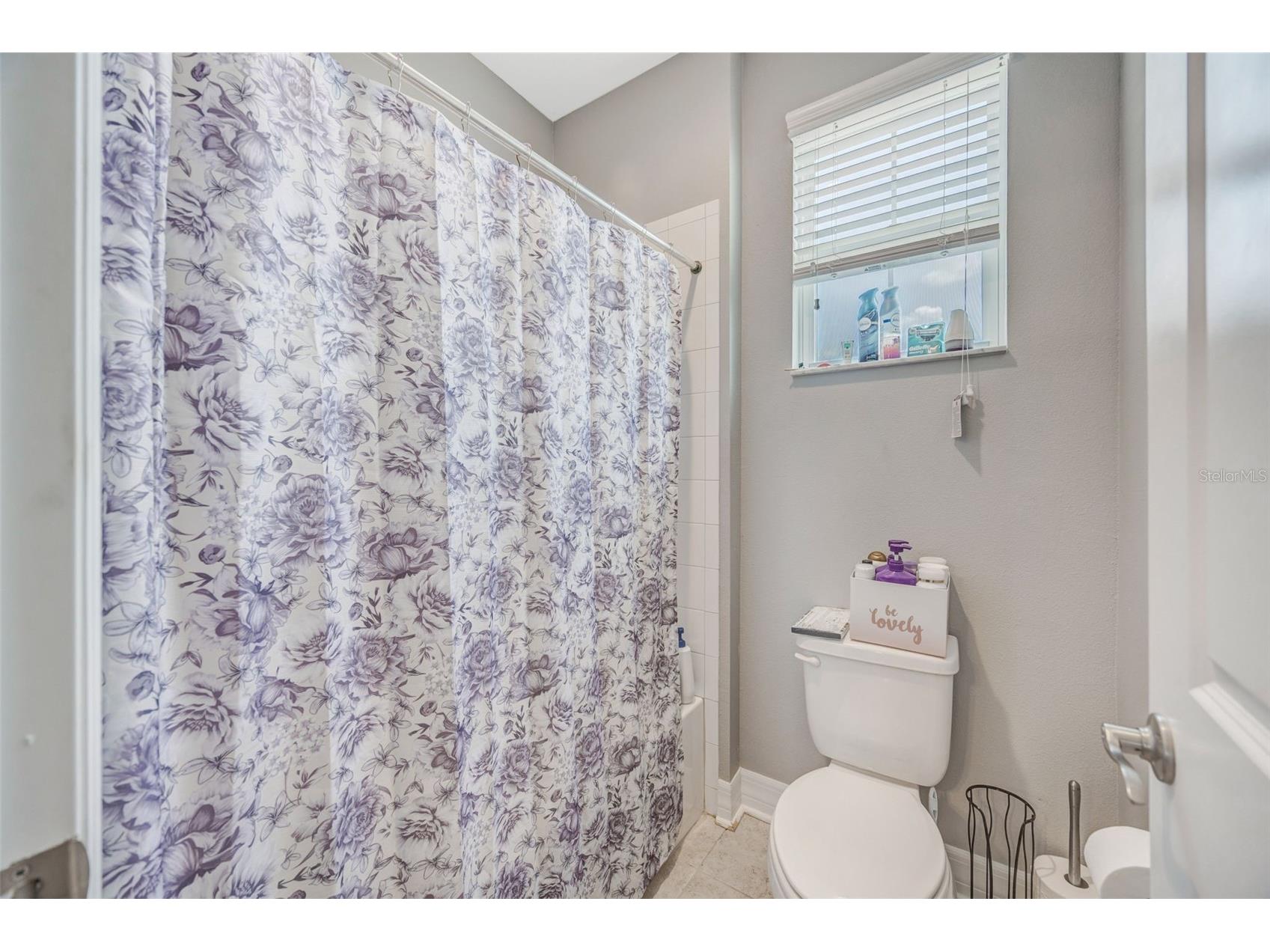 31973 Mardelle Place Wesley Chapel FL 33543 TB8514052 image44