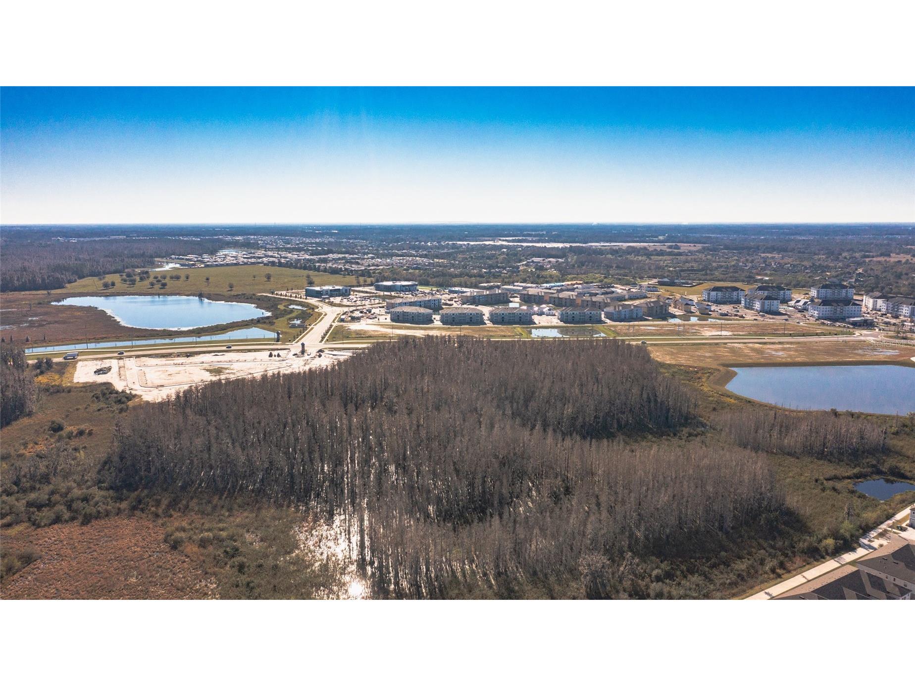 31974 Blue Passing Loop Wesley Chapel FL 33545 - EPPERSON LAGOON / KING LAKE TB8493854 image74
