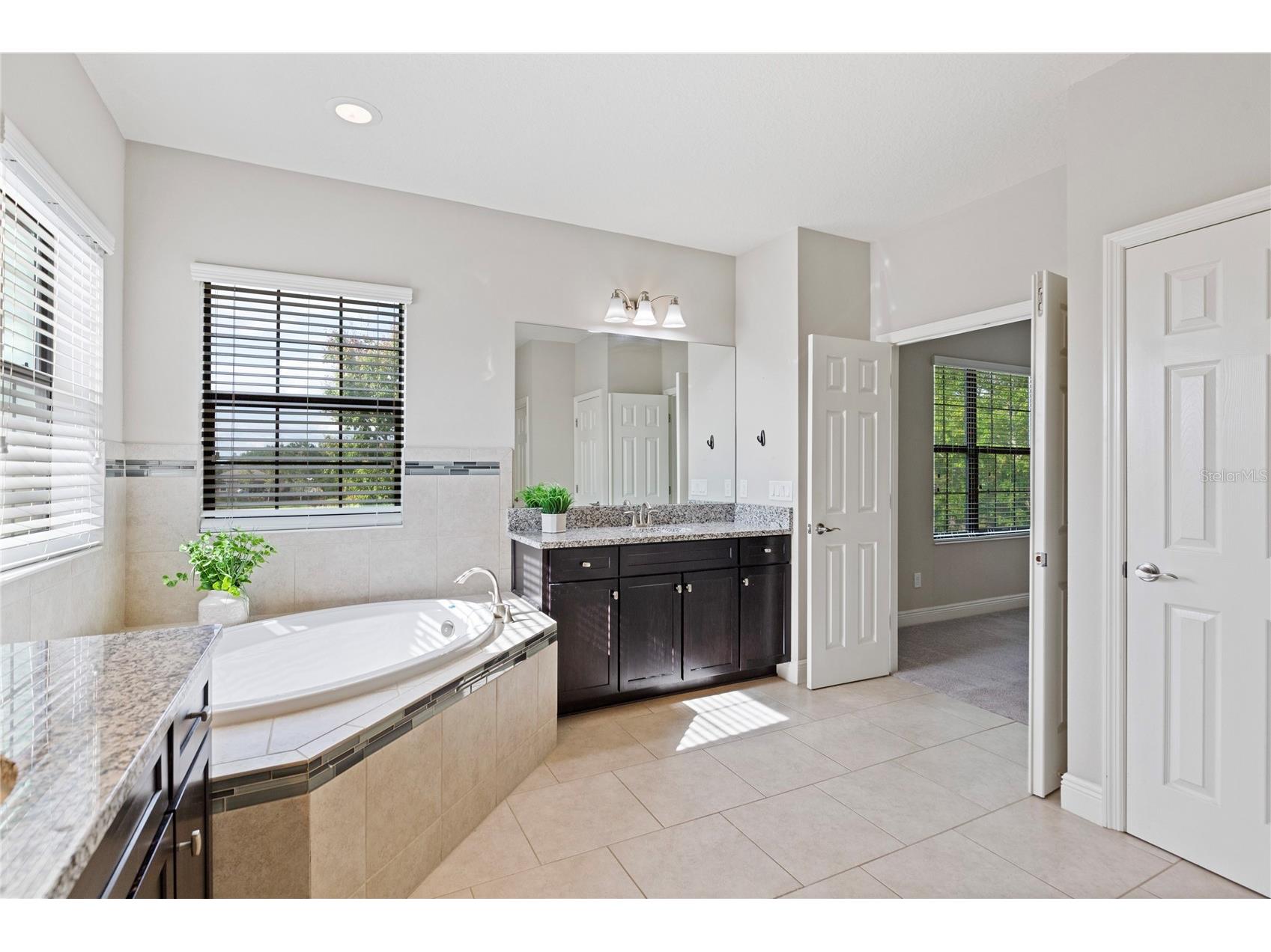 31976 Watoga Loop Wesley Chapel FL 33543 TB8501640 image24