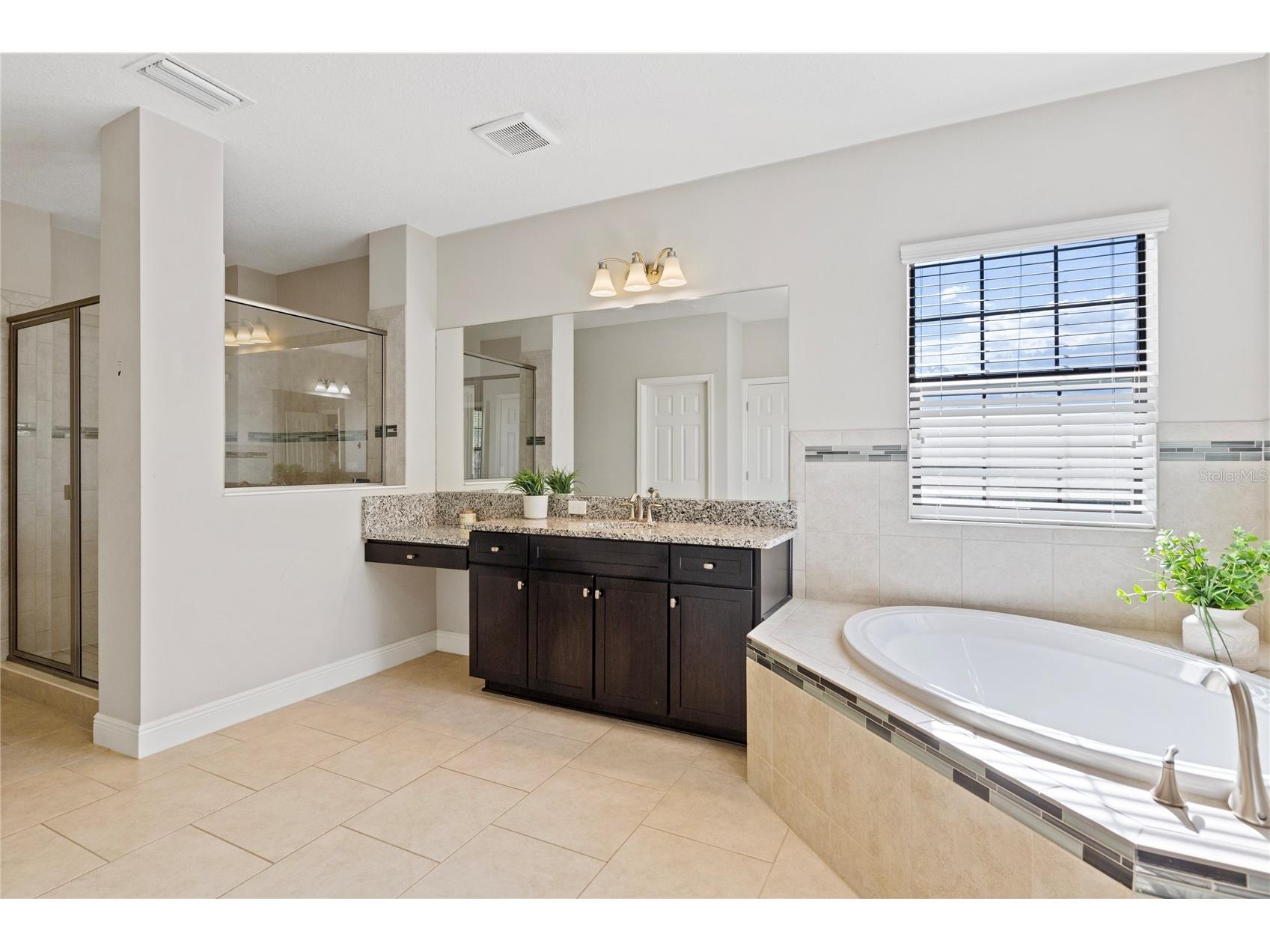 31976 Watoga Loop Wesley Chapel FL 33543 TB8501640 image25