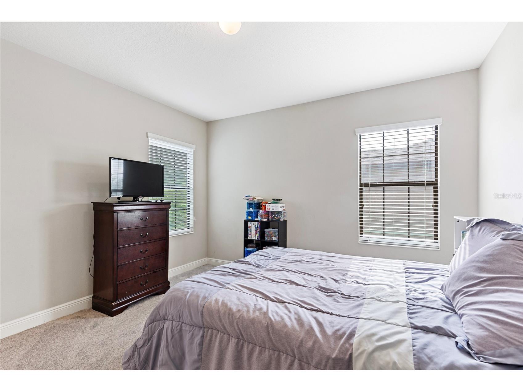 31976 Watoga Loop Wesley Chapel FL 33543 TB8501640 image29