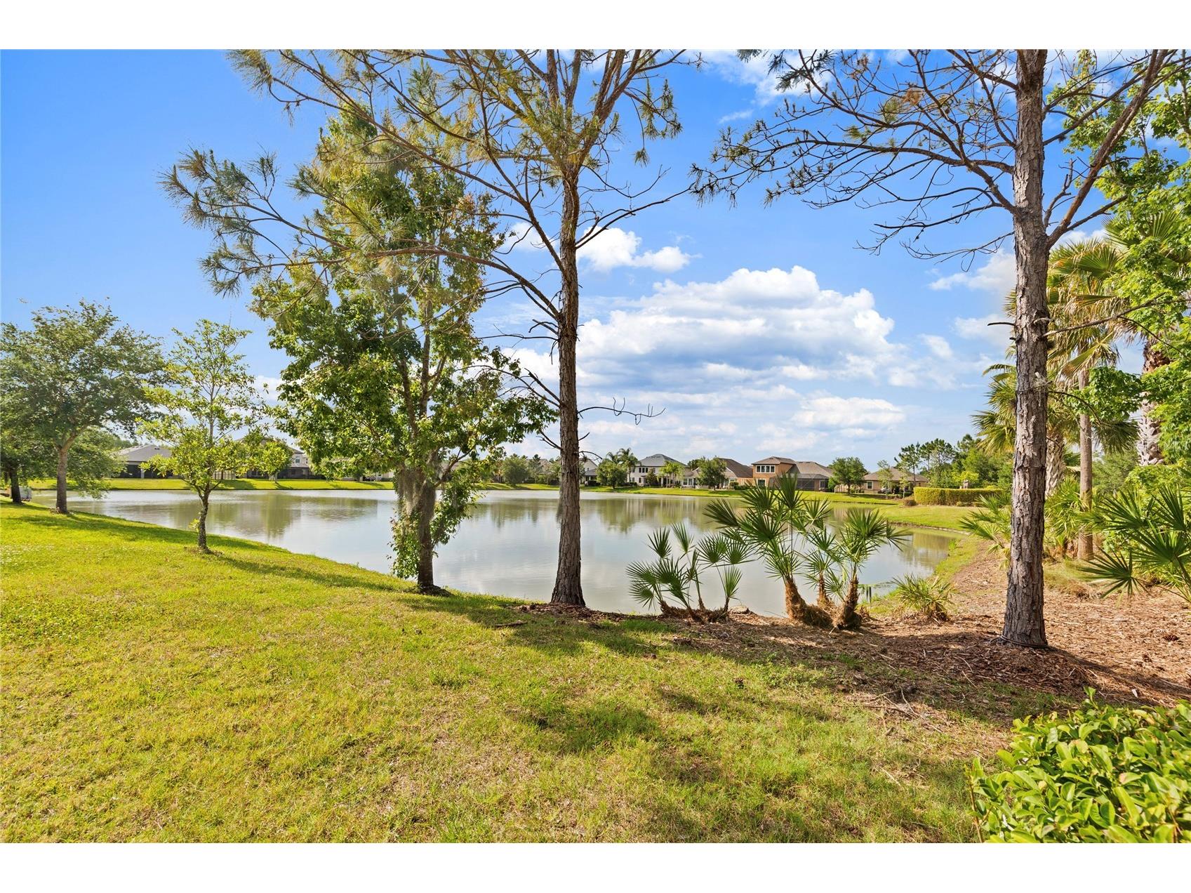 31976 Watoga Loop Wesley Chapel FL 33543 TB8501640 image3