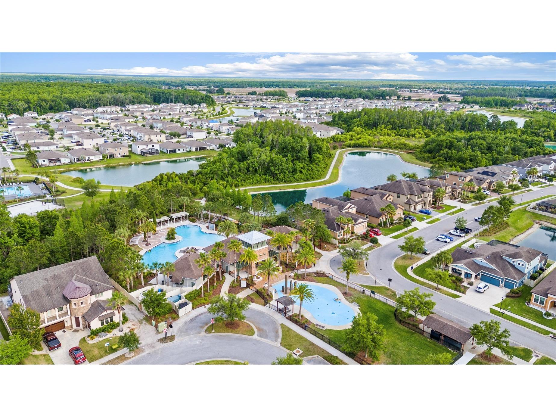 31976 Watoga Loop Wesley Chapel FL 33543 TB8501640 image38