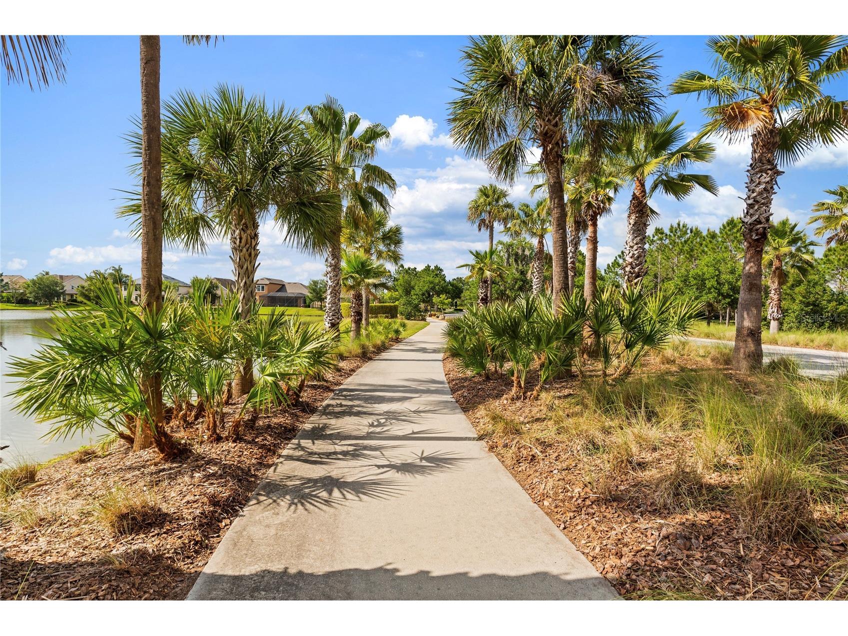 31976 Watoga Loop Wesley Chapel FL 33543 TB8501640 image4