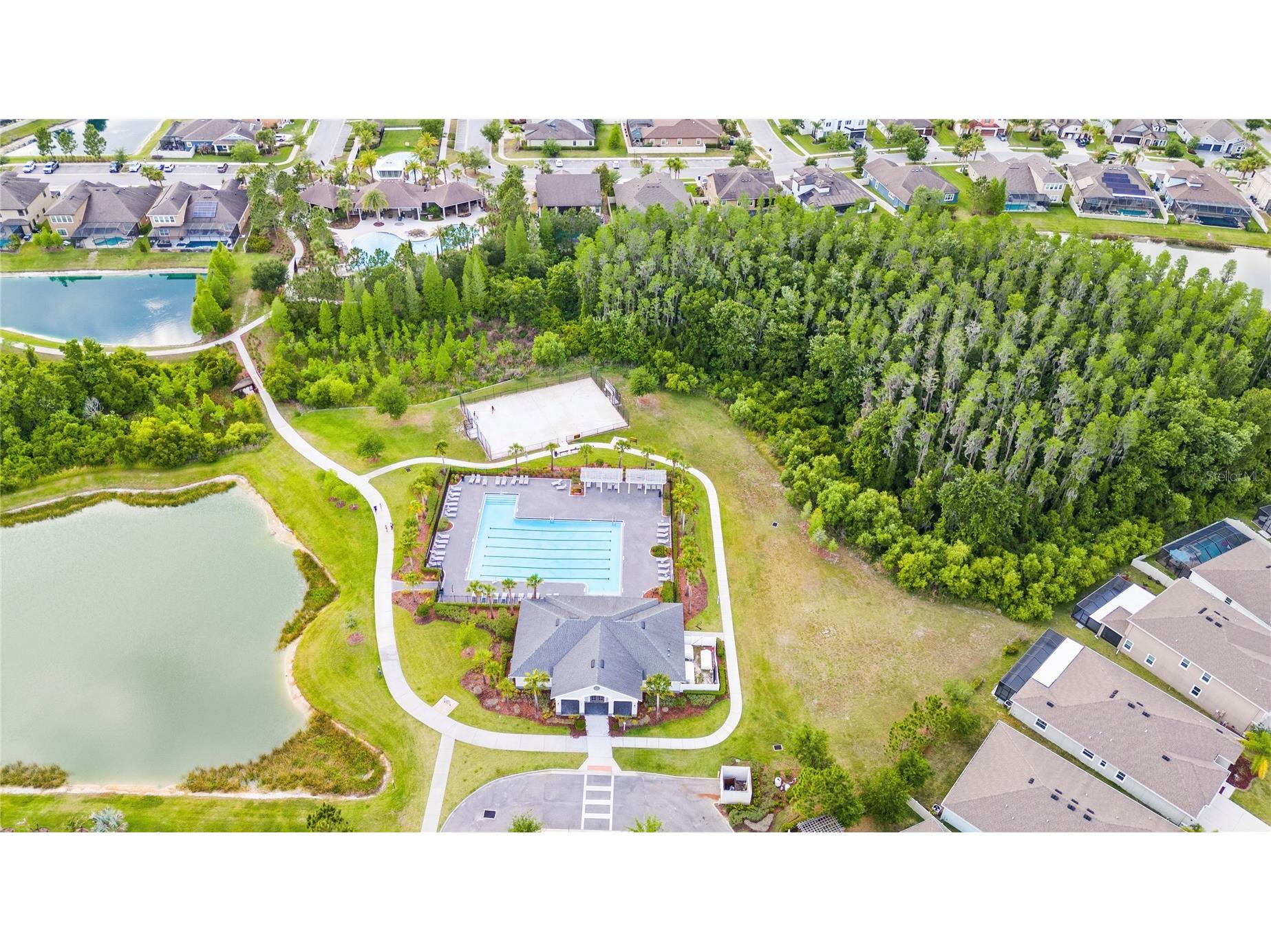 31976 Watoga Loop Wesley Chapel FL 33543 TB8501640 image41