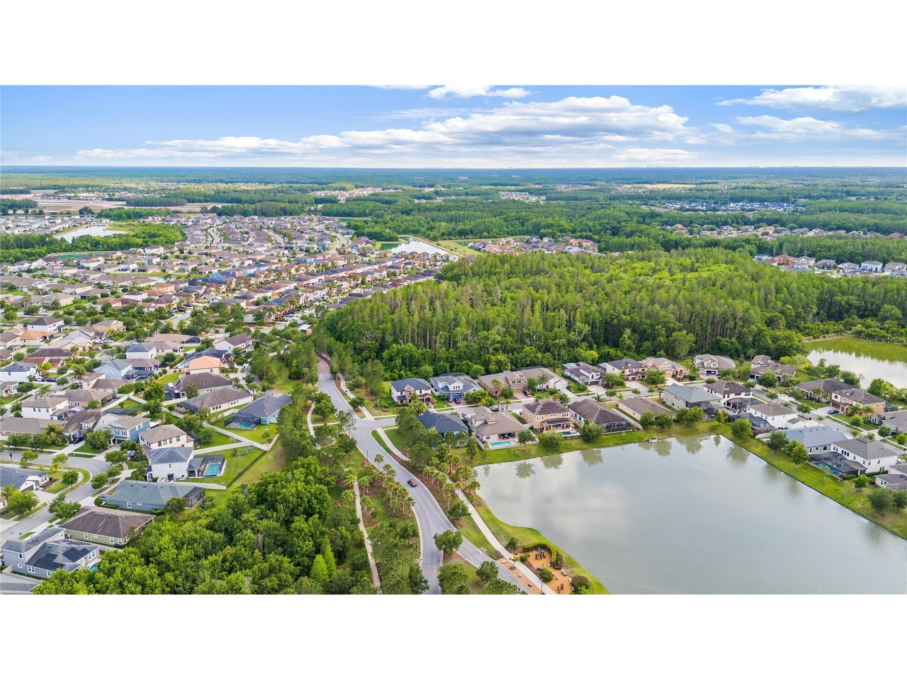 31976 Watoga Loop Wesley Chapel FL 33543 TB8501640 image42