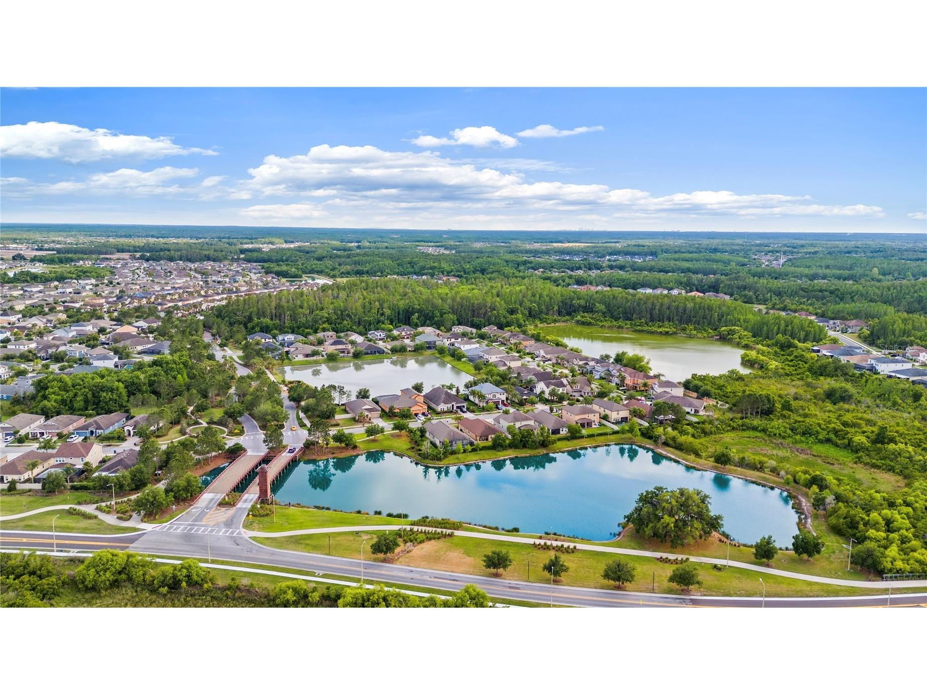31976 Watoga Loop Wesley Chapel FL 33543 TB8501640 image43