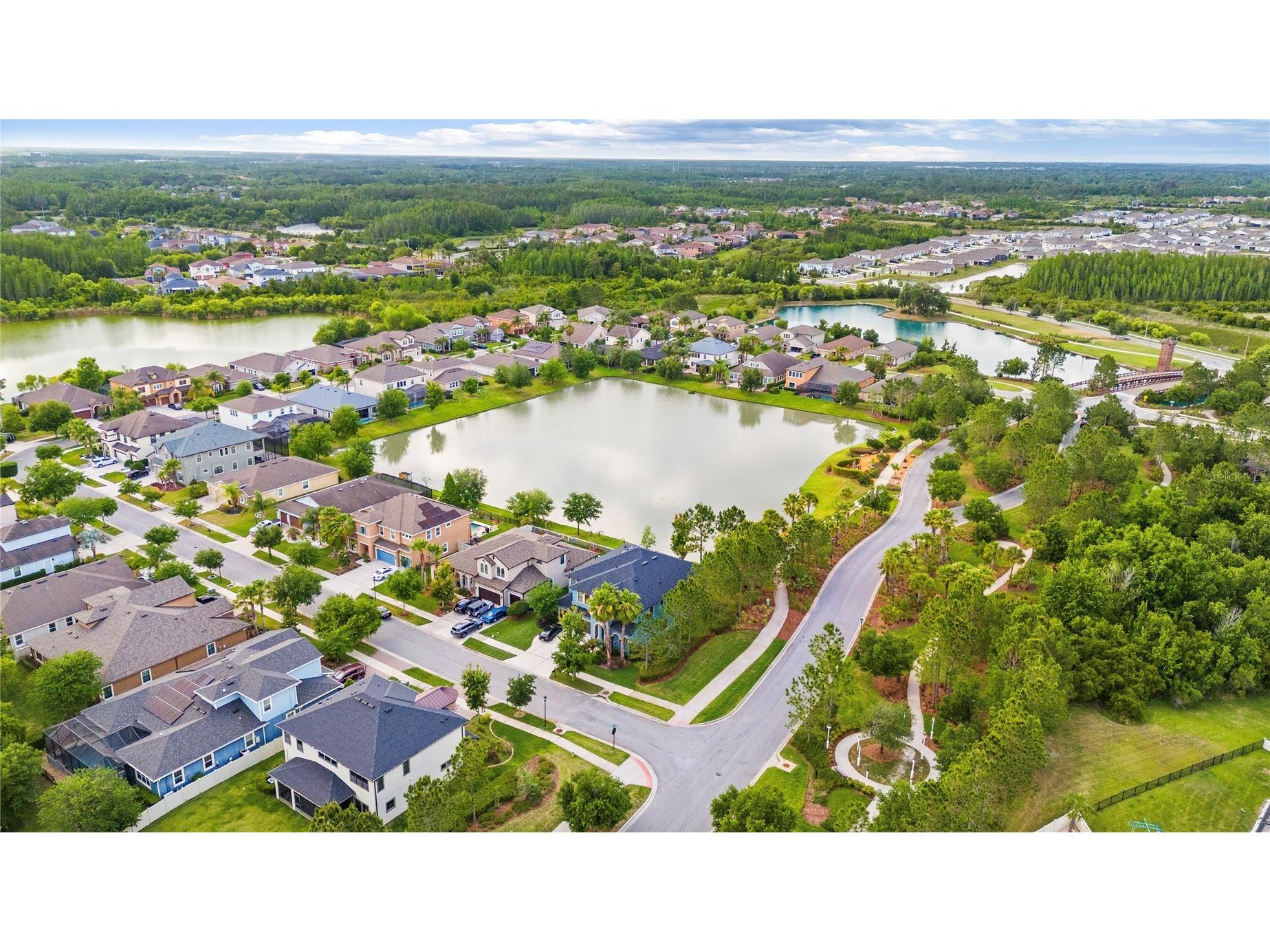 31976 Watoga Loop Wesley Chapel FL 33543 TB8501640 image5