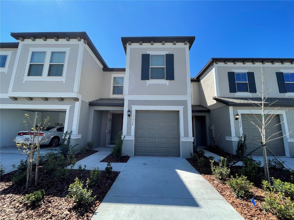 31978 Blue Passing Loop Wesley Chapel FL 33545 T3463790 image1