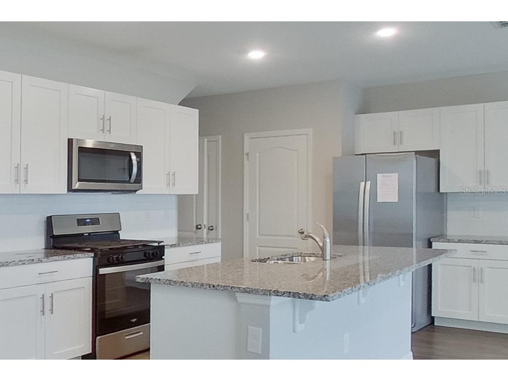 31978 Katelin Circle Leesburg FL 34748 O6427728 image3