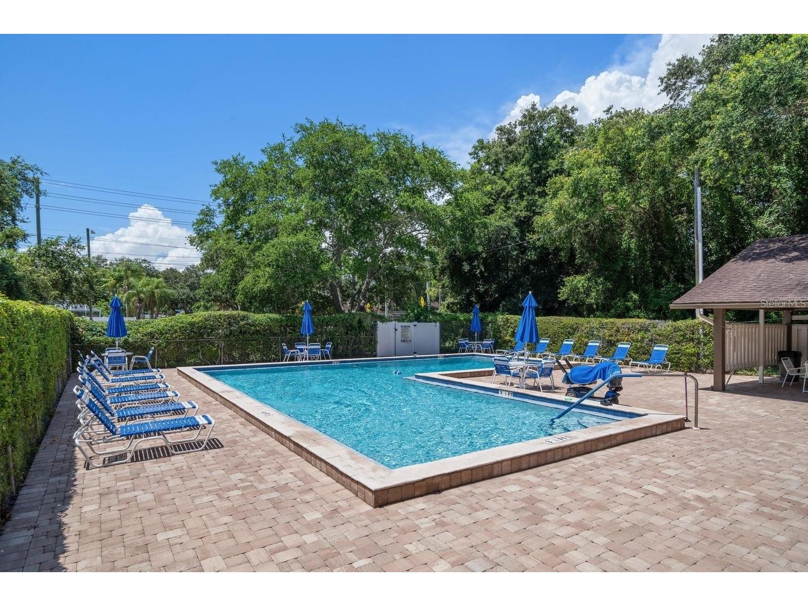3198 Claremont Place #A Palm Harbor FL 34683 TB8523874 image2