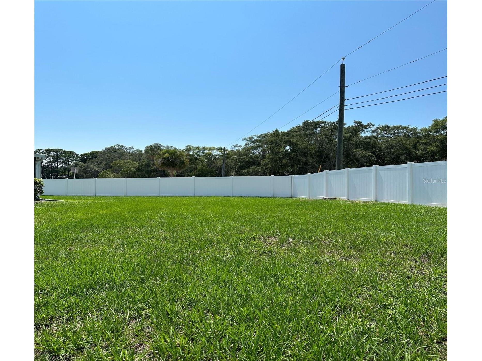 3198 Claremont Place #A Palm Harbor FL 34683 TB8523874 image20