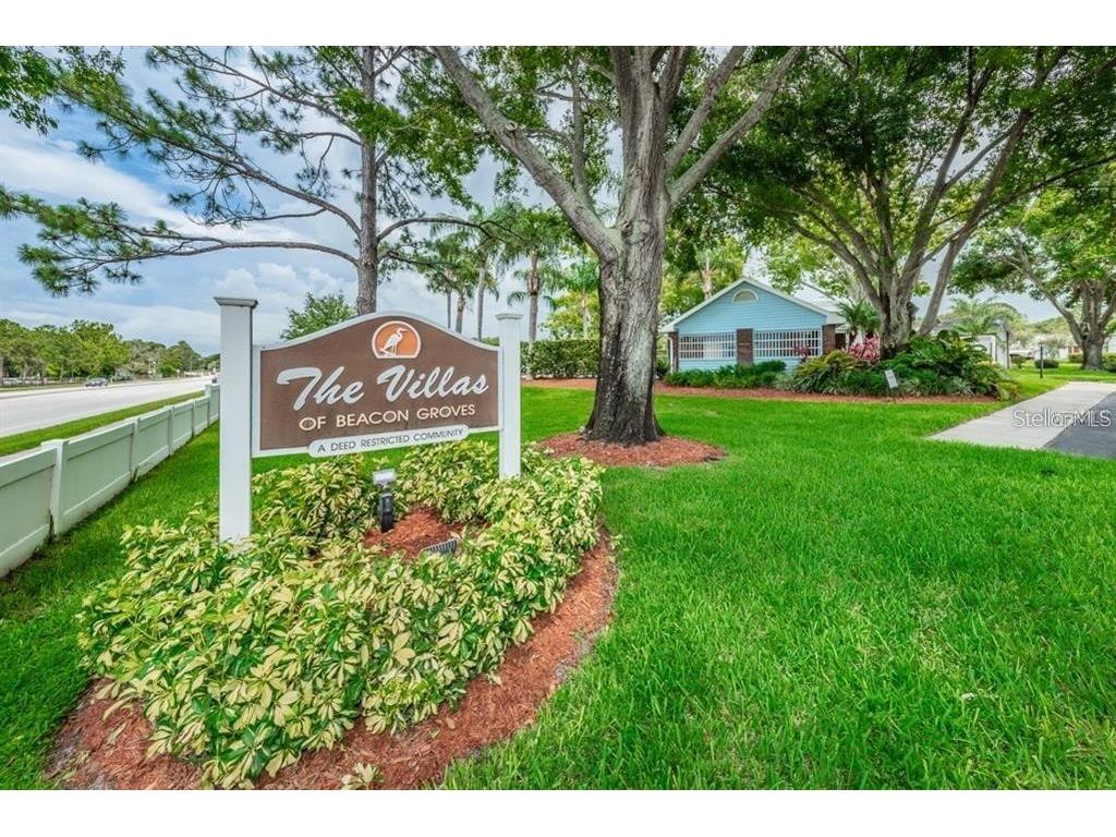 3198 Claremont Place #A Palm Harbor FL 34683 TB8523874 image21