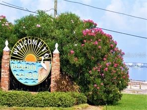3198 Claremont Place #A Palm Harbor FL 34683 TB8523874 image27