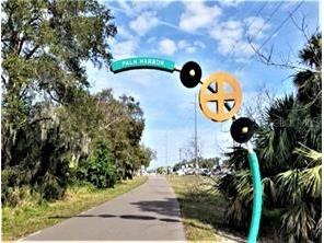 3198 Claremont Place #A Palm Harbor FL 34683 TB8523874 image29