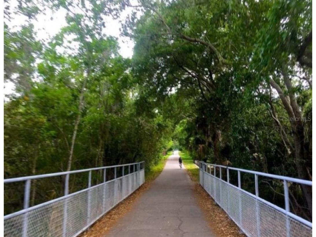 3198 Claremont Place #A Palm Harbor FL 34683 TB8523874 image32