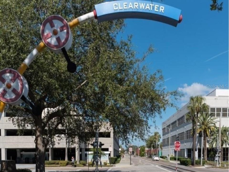 3198 Claremont Place #A Palm Harbor FL 34683 TB8523874 image33