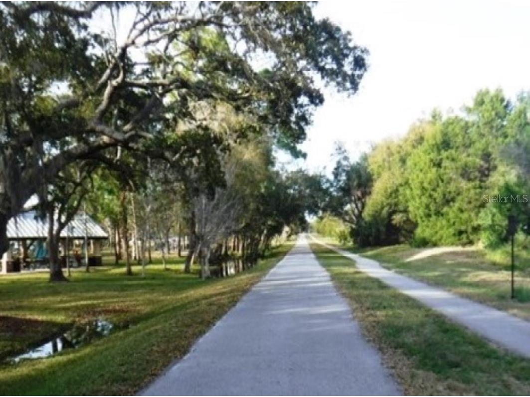 3198 Claremont Place #A Palm Harbor FL 34683 TB8523874 image35