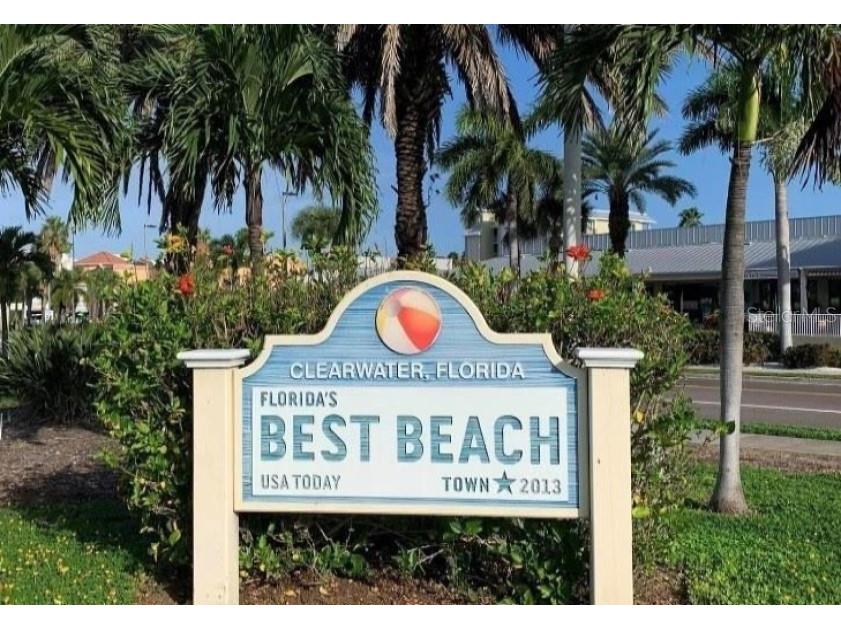 3198 Claremont Place #A Palm Harbor FL 34683 TB8523874 image45