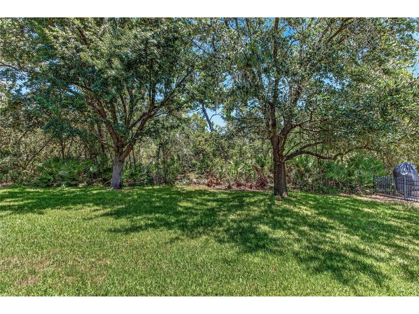 3198 Heirloom Rose Place Oviedo FL 32766 O6419551 image37