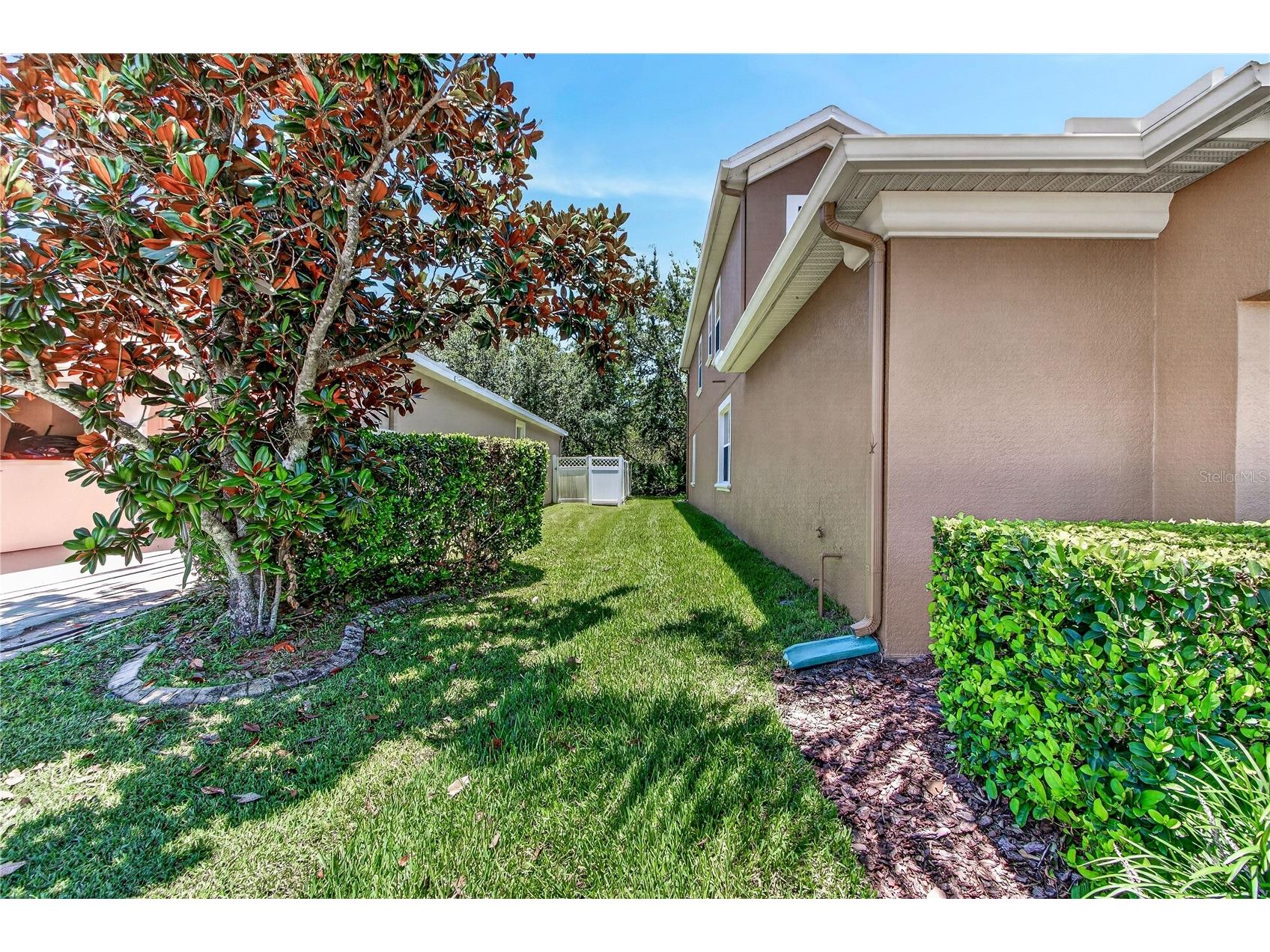 3198 Heirloom Rose Place Oviedo FL 32766 O6419551 image39