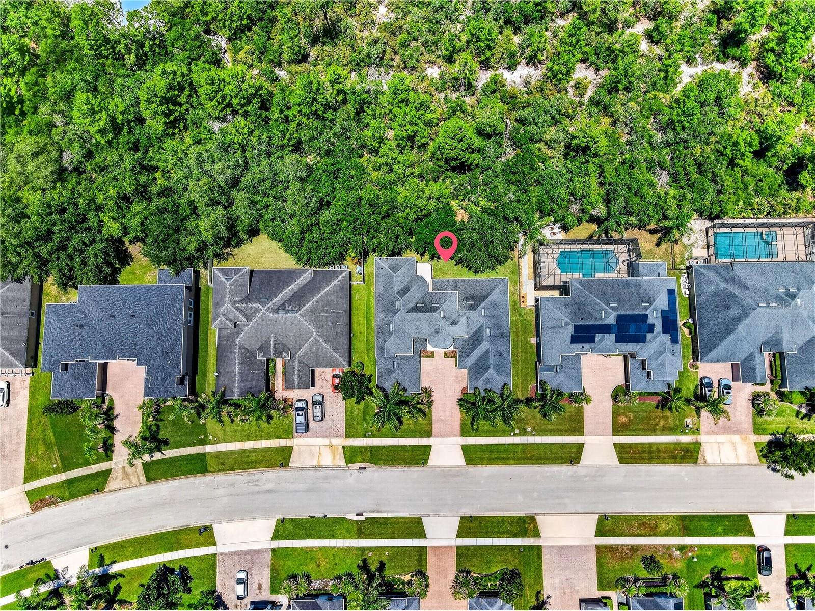 3198 Heirloom Rose Place Oviedo FL 32766 O6419551 image40