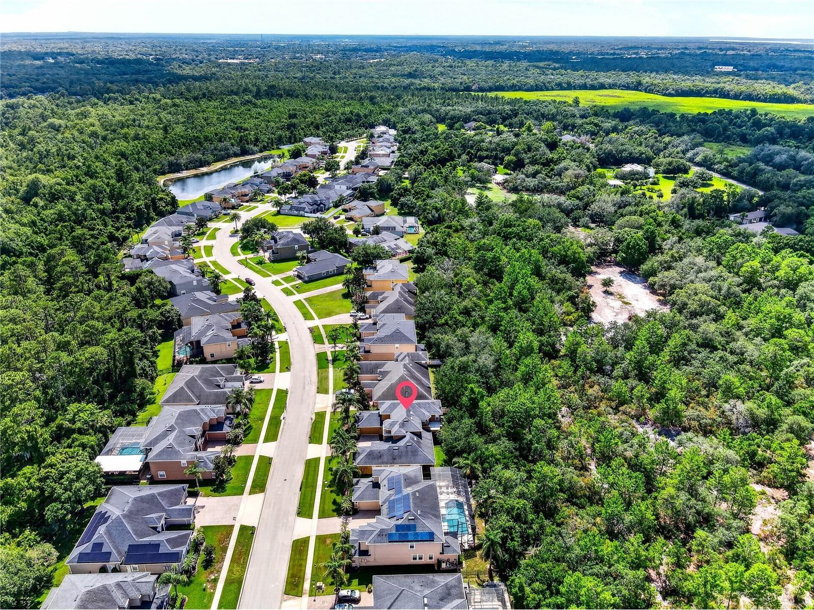 3198 Heirloom Rose Place Oviedo FL 32766 O6419551 image43