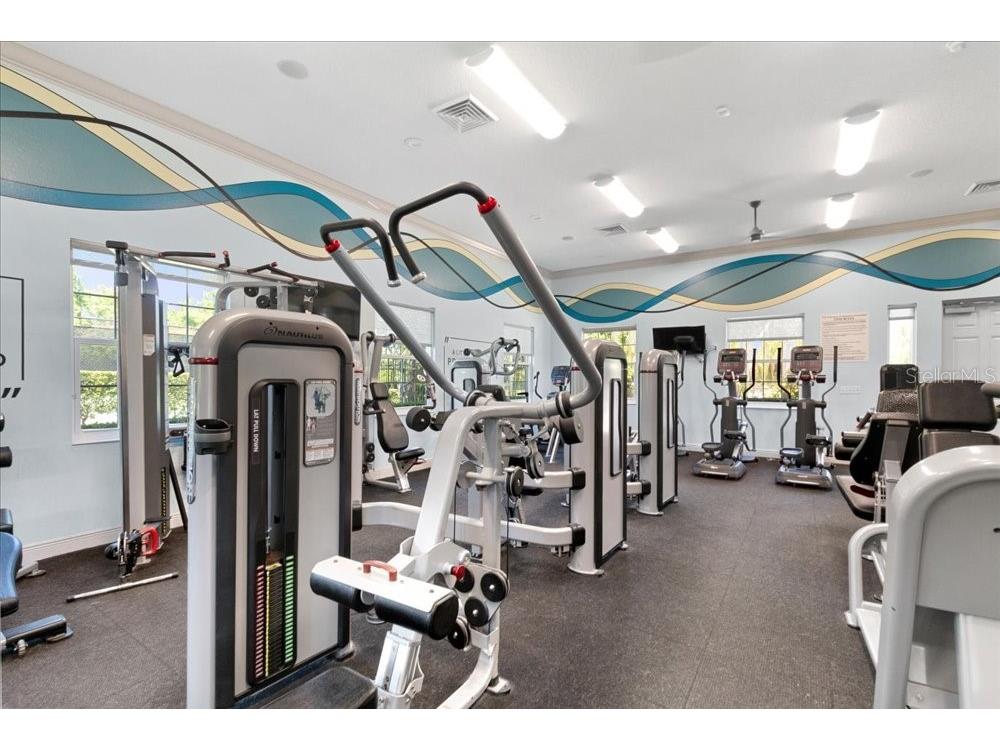 3198 Heirloom Rose Place Oviedo FL 32766 O6419551 image79