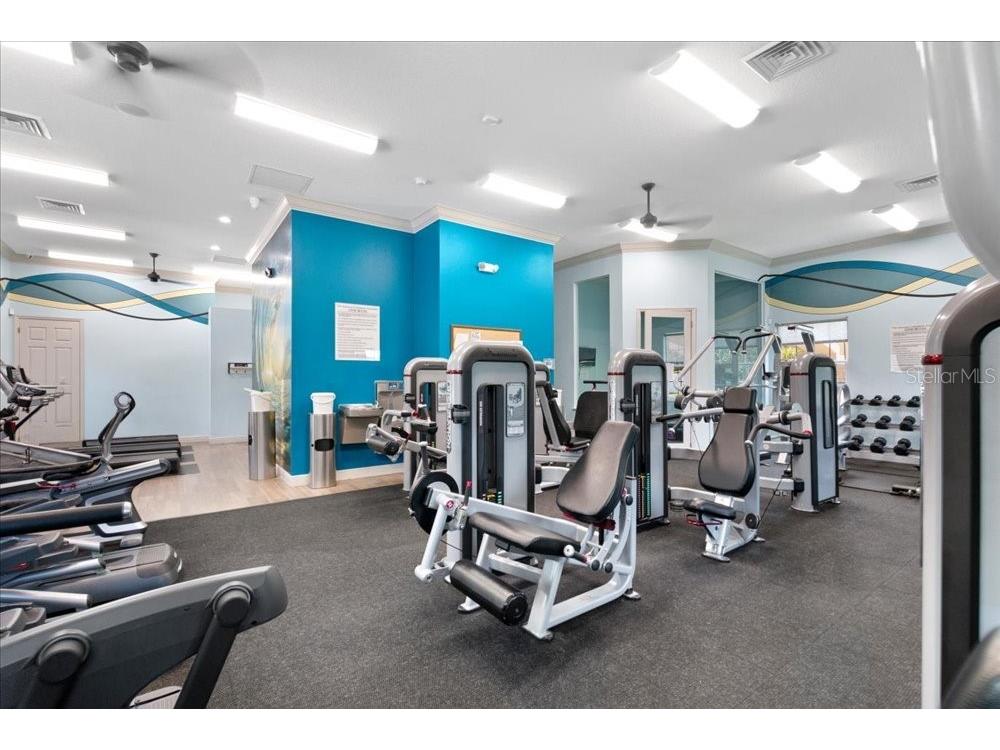 3198 Heirloom Rose Place Oviedo FL 32766 O6419551 image80