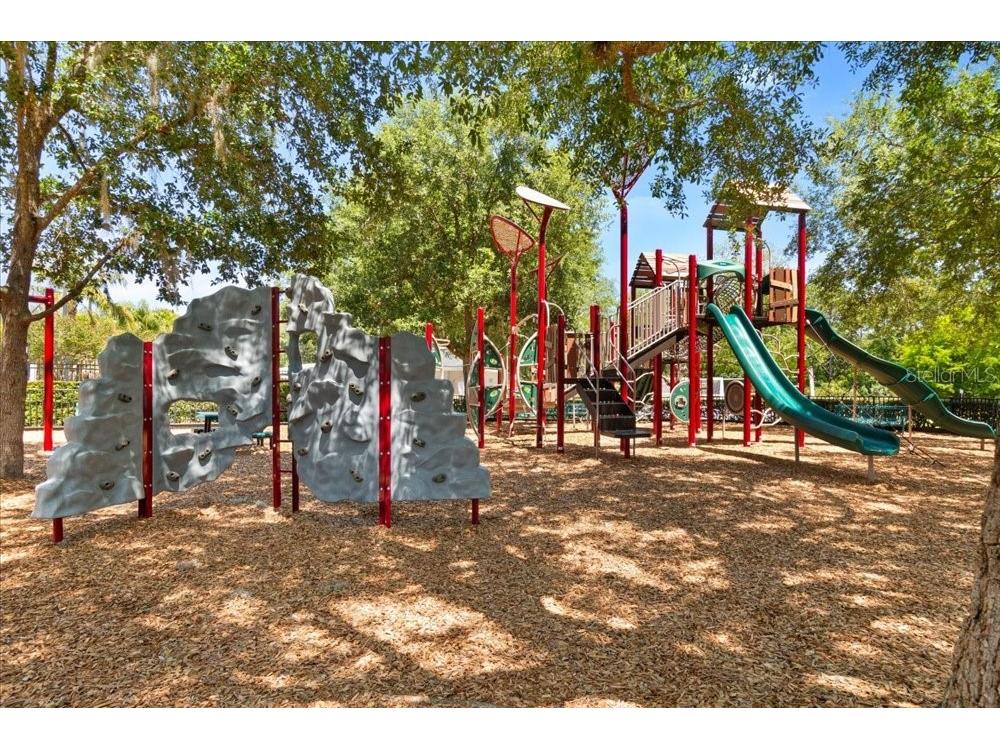 3198 Heirloom Rose Place Oviedo FL 32766 O6419551 image84