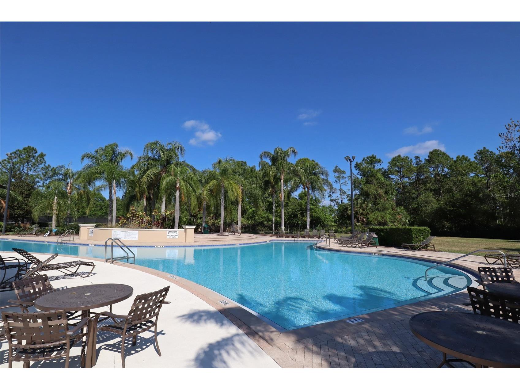 3198 Heirloom Rose Place Oviedo FL 32766 O6419551 image88