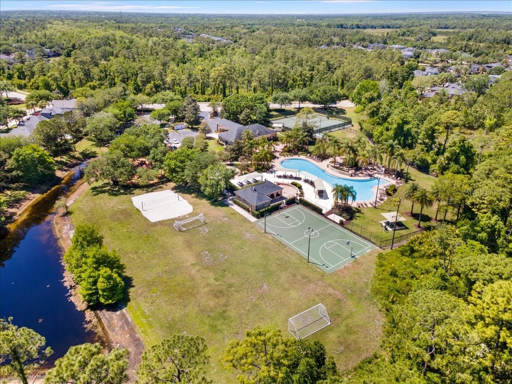 3198 Heirloom Rose Place Oviedo FL 32766 O6419551 image91