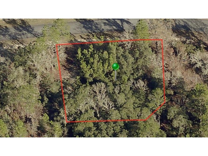 3198 W Montgomery Lane Citrus Springs FL 34433 A4577432 image2