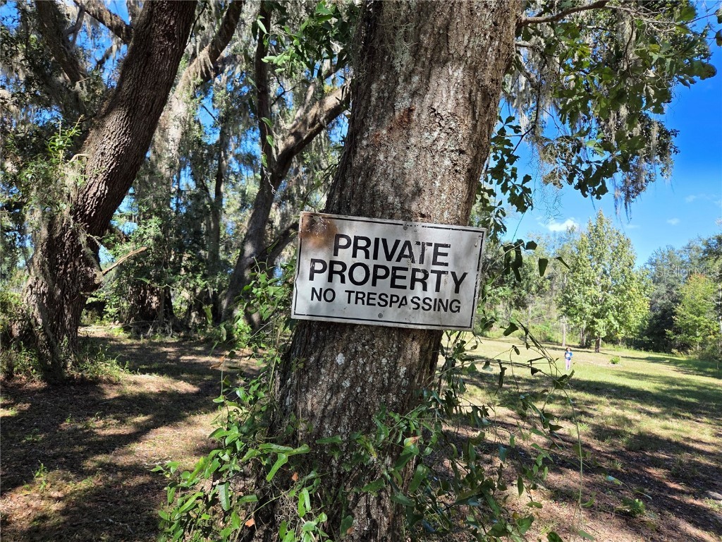 3199 168th Street Wellborn FL 32094 TB8440722 image1