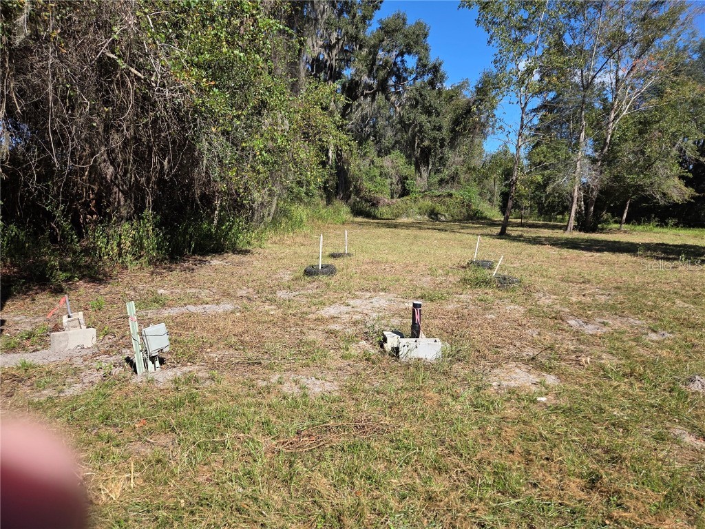 3199 168th Street Wellborn FL 32094 TB8440722 image3