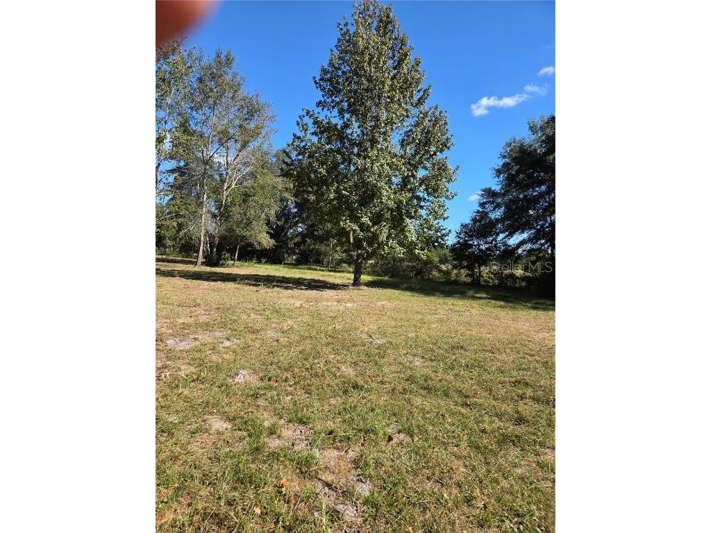 3199 168th Street Wellborn FL 32094 TB8440722 image5