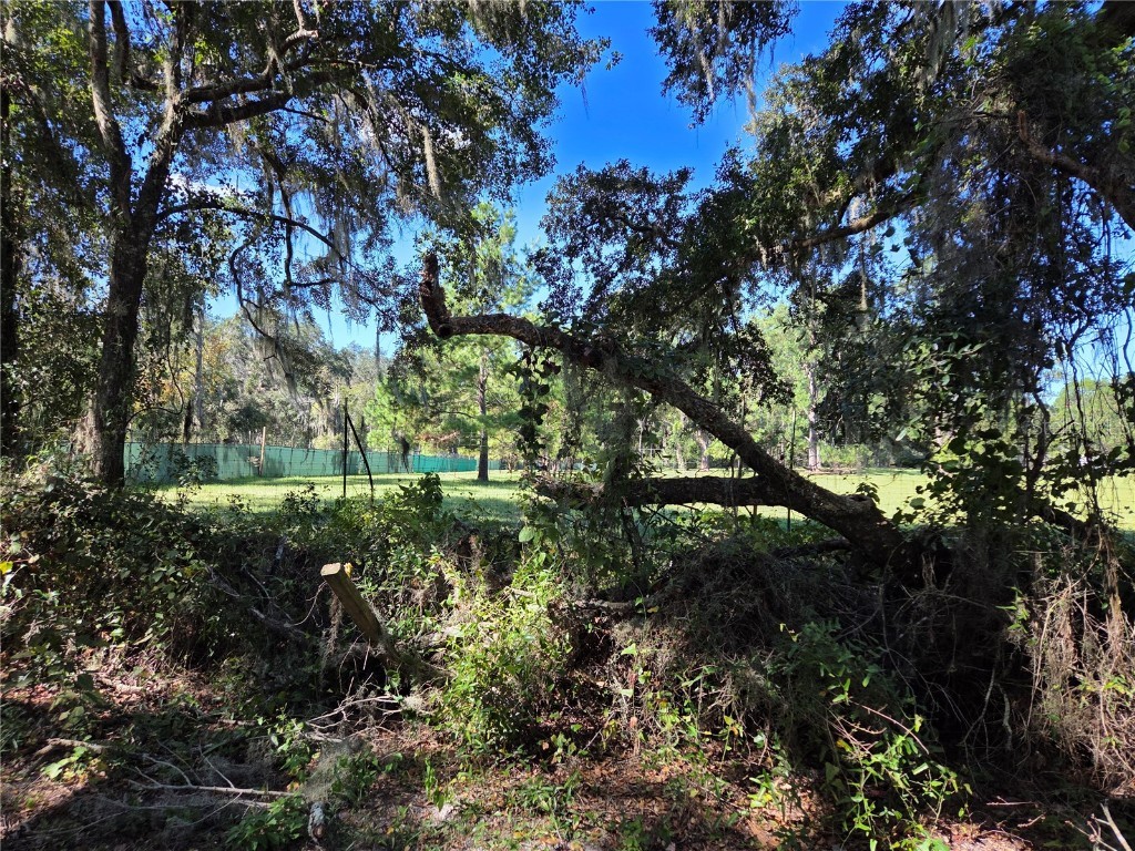 3199 168th Street Wellborn FL 32094 TB8440722 image6