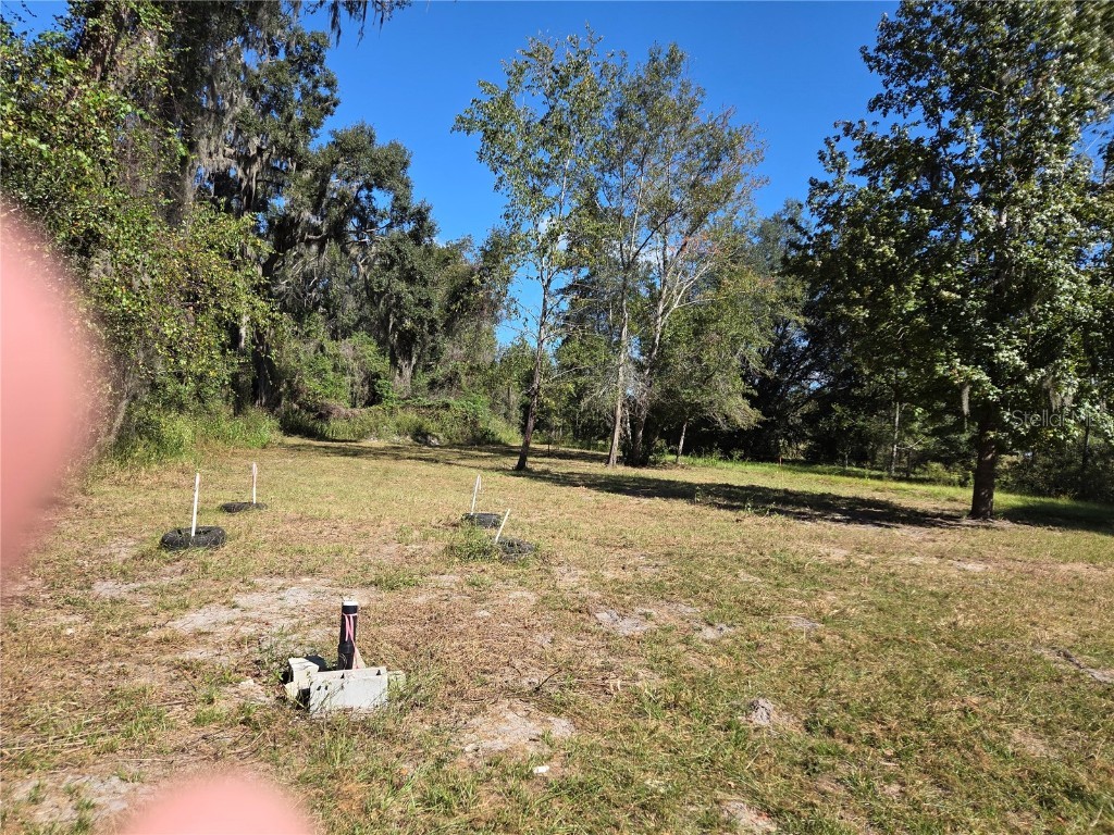 3199 168th Street Wellborn FL 32094 TB8440722 image8