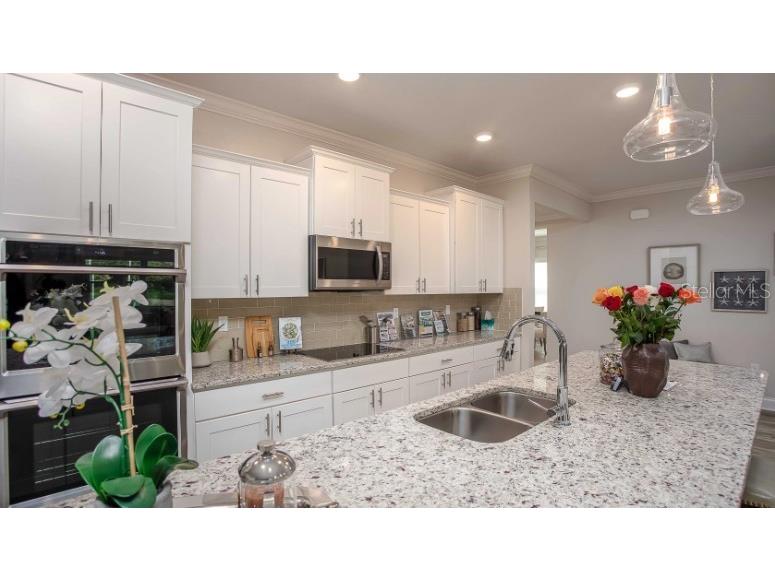 32 Ellsworth Drive Palm Coast FL 32164 O6319502 image15