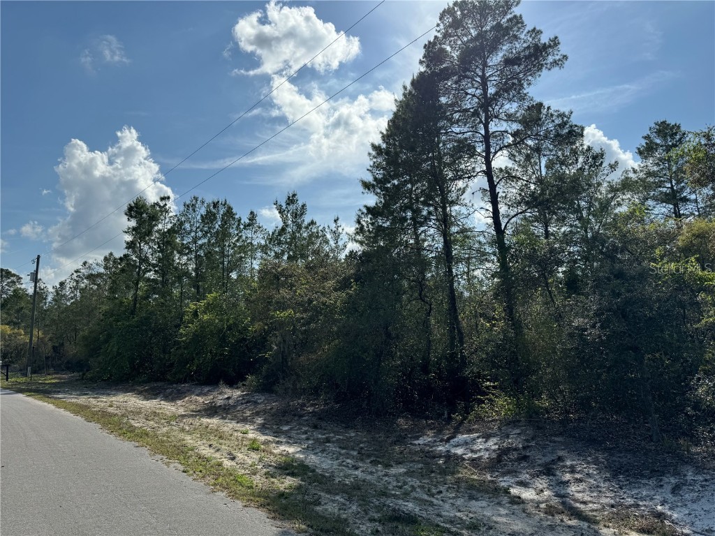 32 Fisher Trail Pass Ocklawaha FL 32179 OM675033 image1