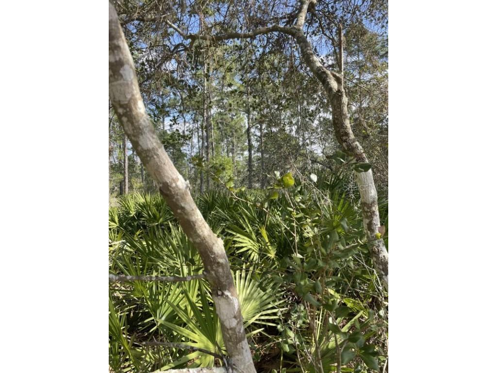 32 Fyfe Avenue Debary FL 32713 A4668838 image3