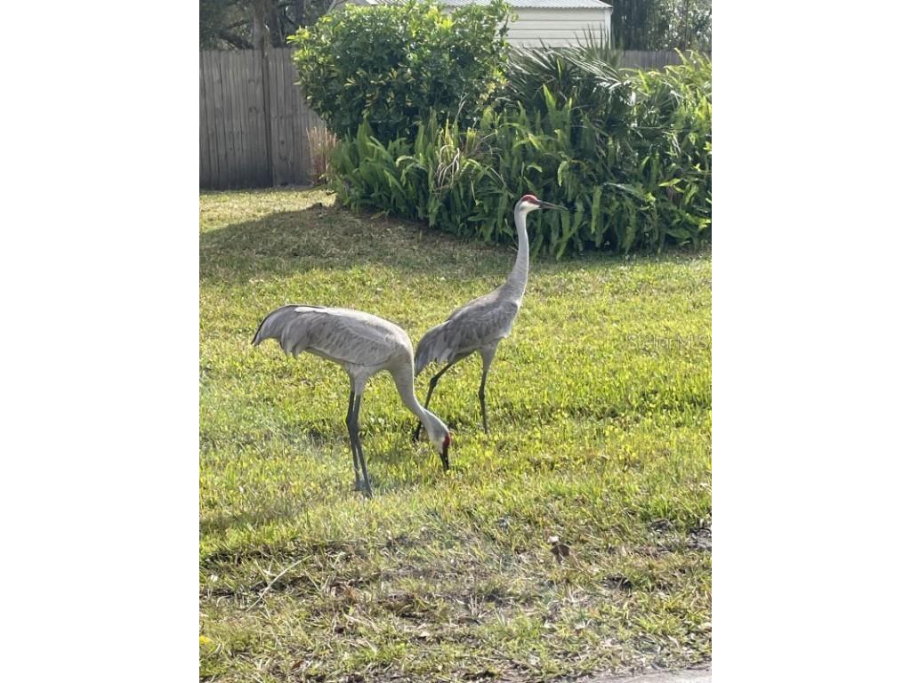 32 Fyfe Avenue Debary FL 32713 A4668838 image4