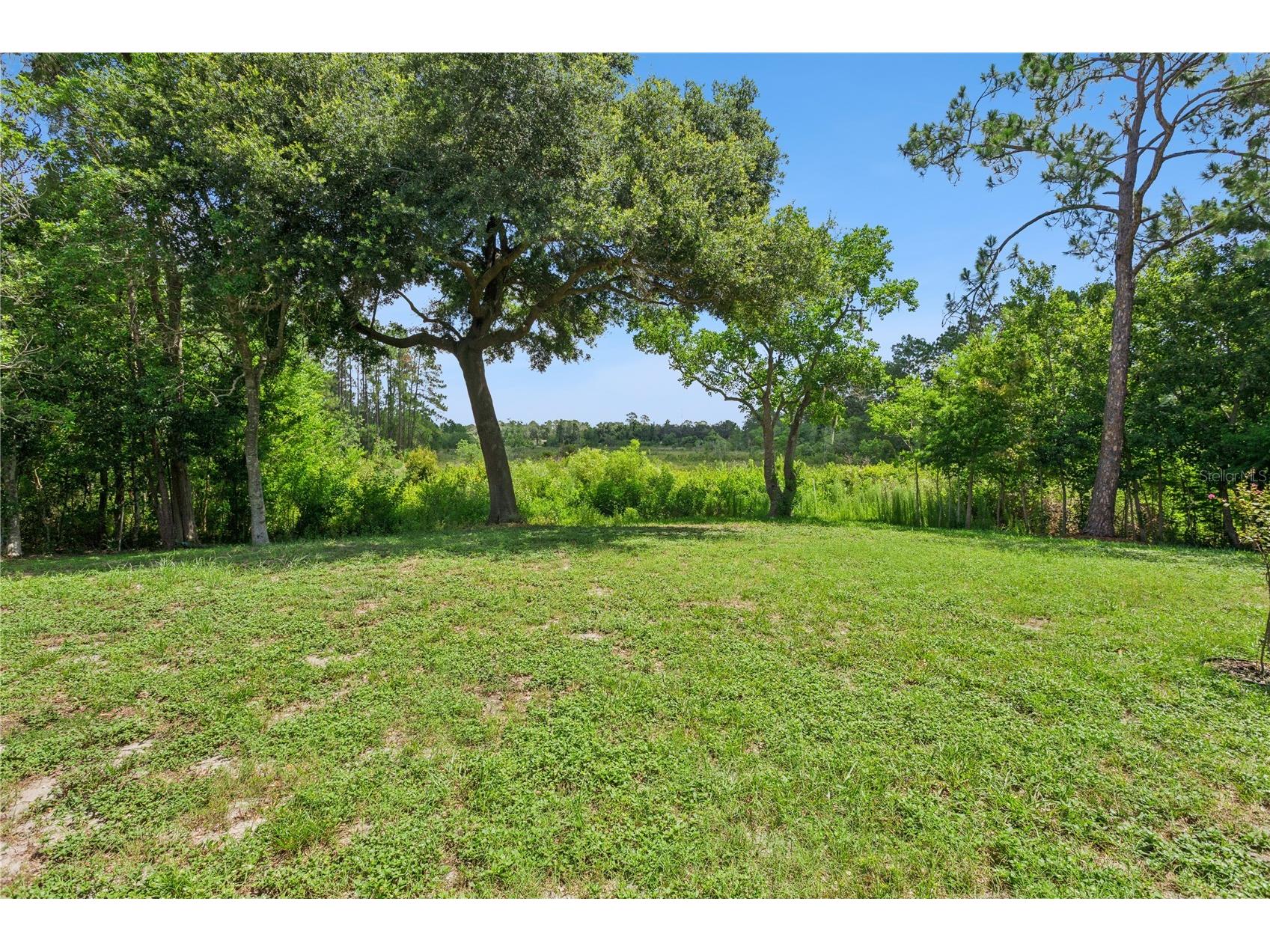32 Gordon Court Leesburg FL 34788 G5114638 image36