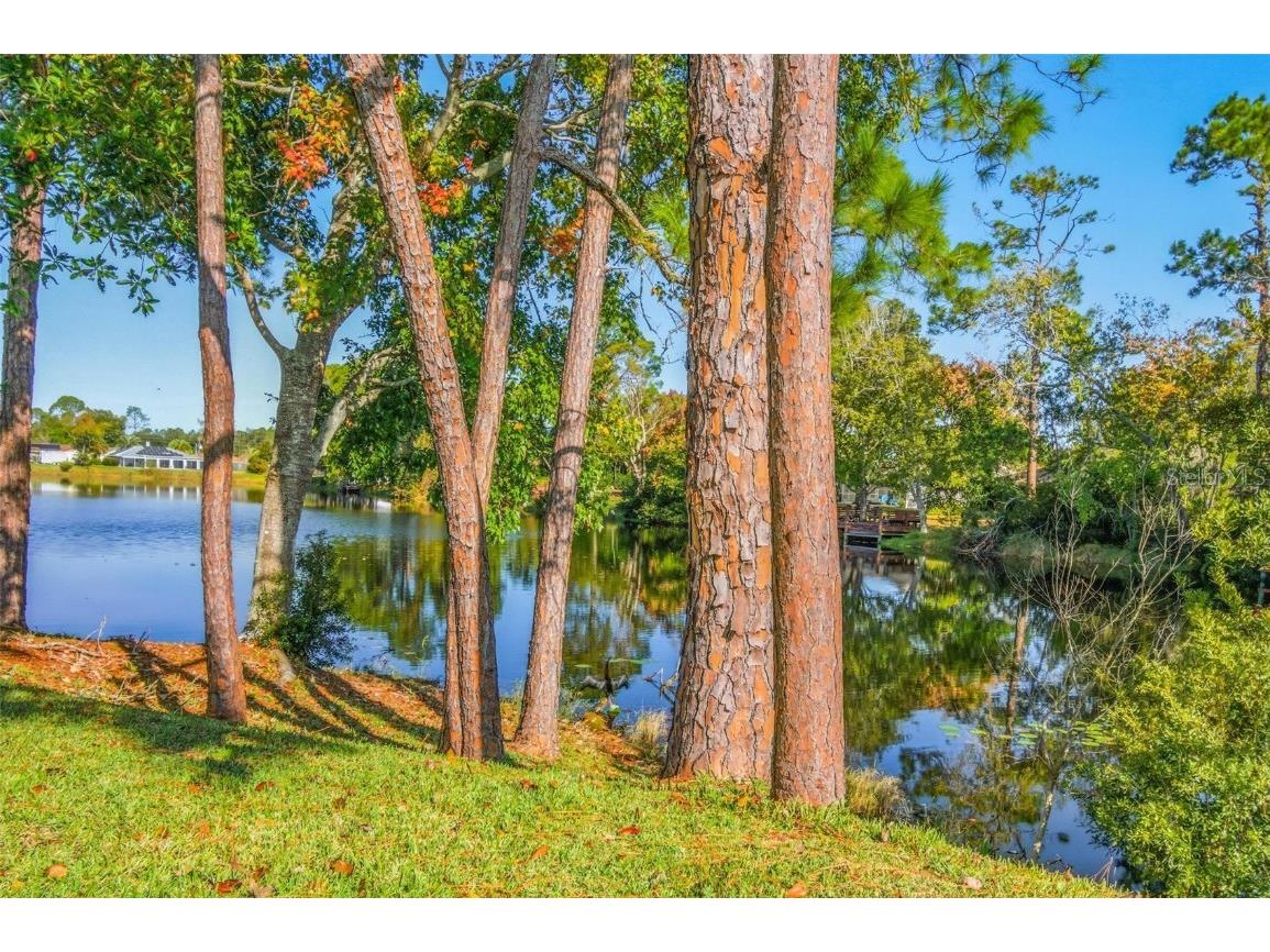 32 Kings Colony Court Palm Coast FL 32137 FC314546 image36