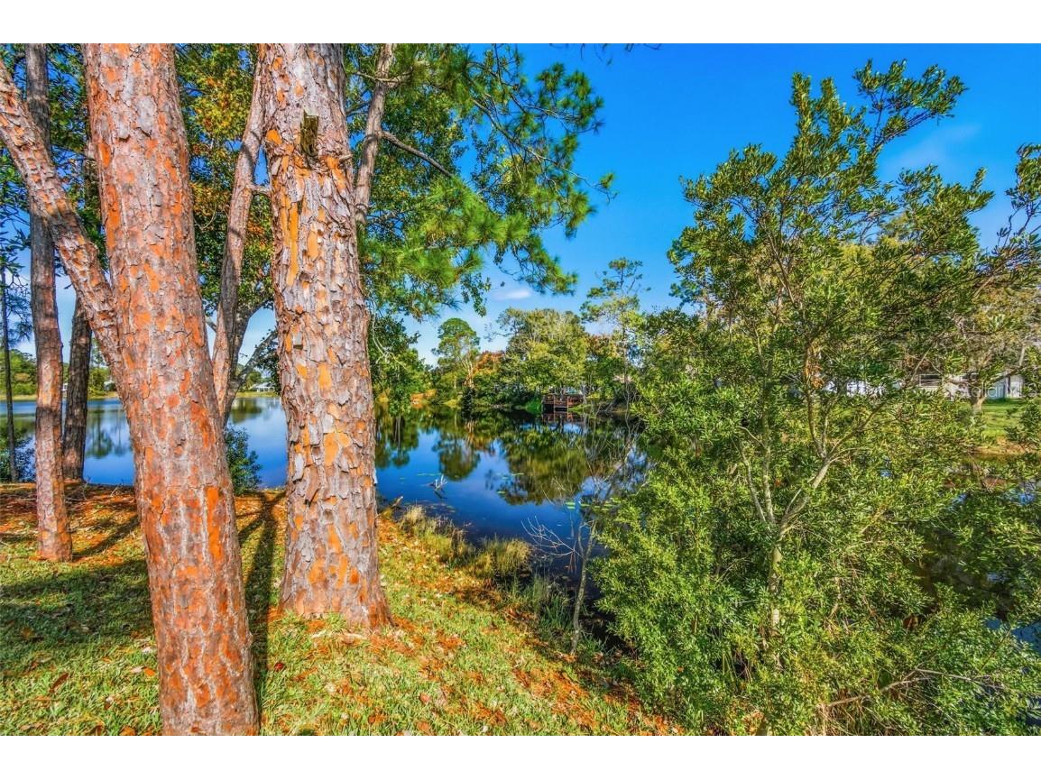 32 Kings Colony Court Palm Coast FL 32137 FC314546 image37