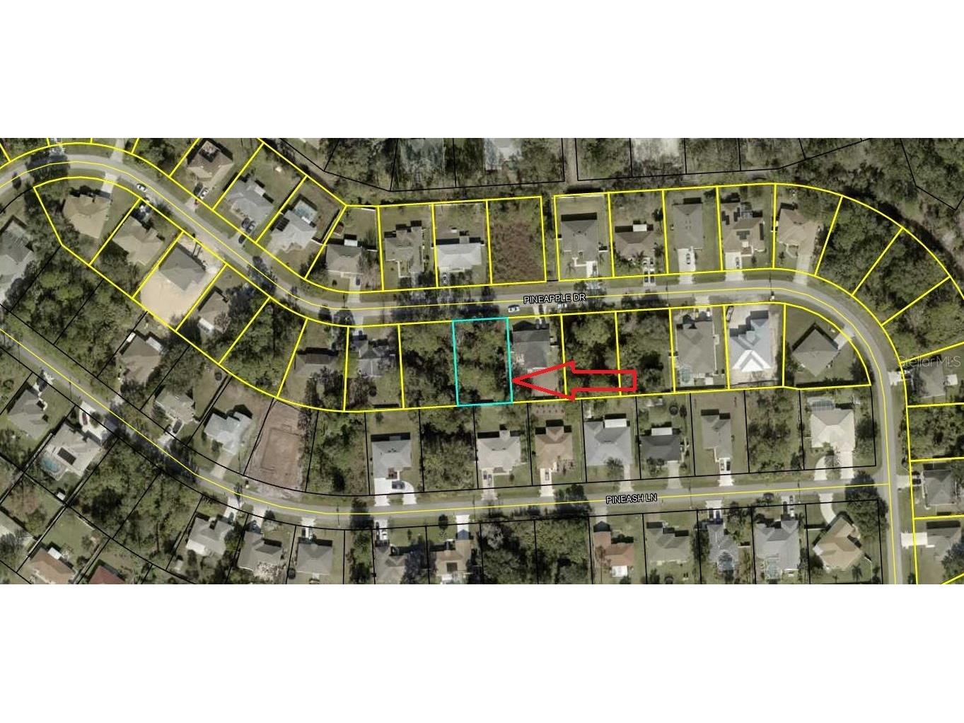 32 Pineapple Drive Palm Coast FL 32164 FC293689 image1