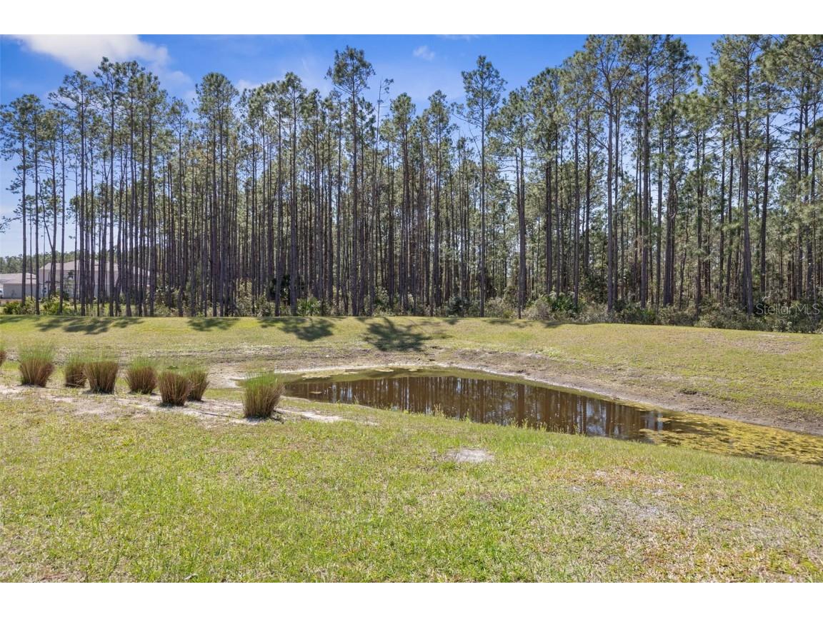 32 Redbud Road Palm Coast FL 32137 FC313400 image33